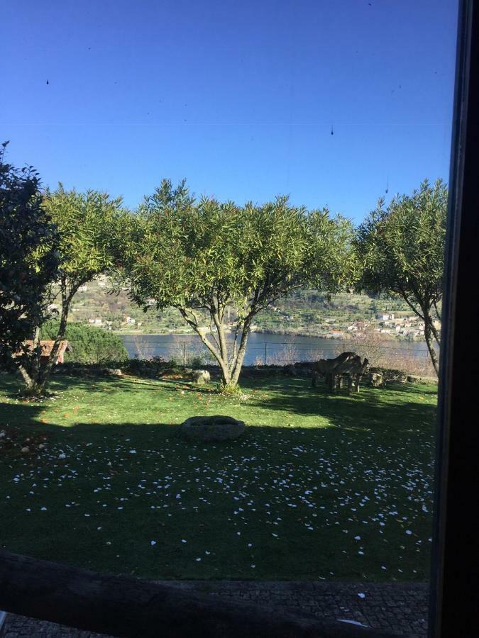 Hotel Quinta Da Ventuzela Cinfães Exteriér fotografie