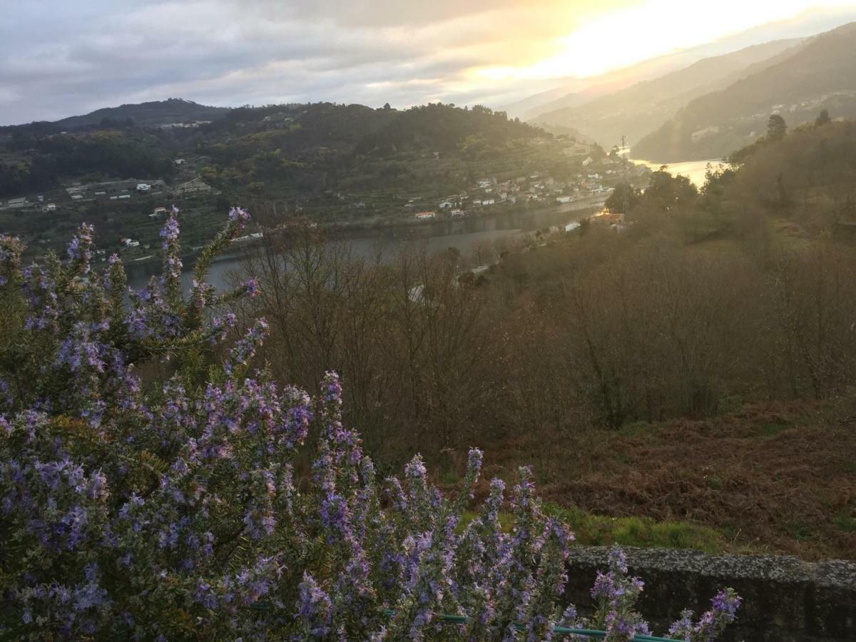 Hotel Quinta Da Ventuzela Cinfães Exteriér fotografie